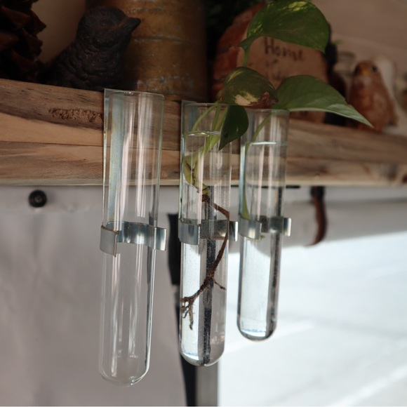 Vintage glass test tube plant propagation with hook (set of 4) - Picture 2 of 3